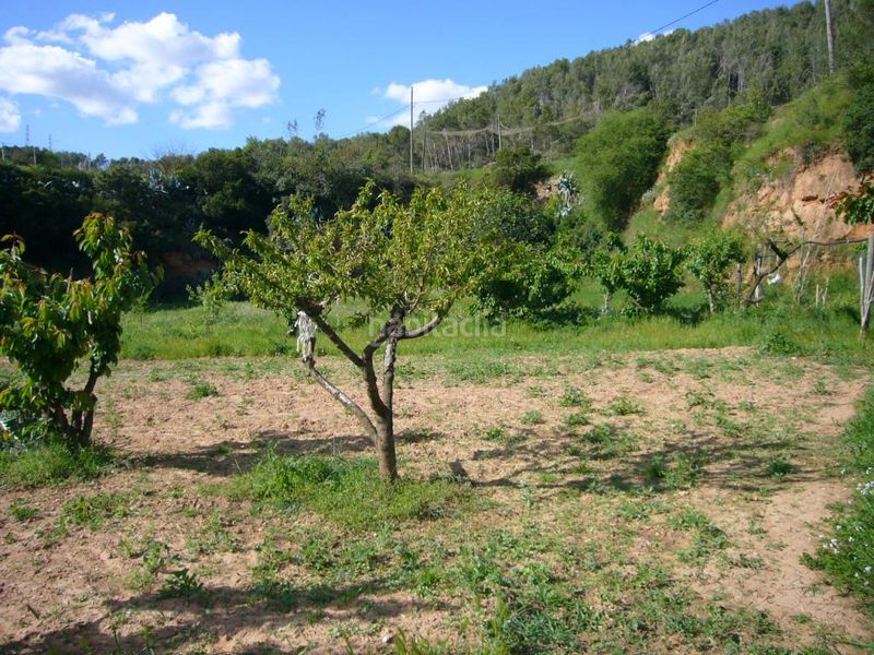 Foto 7b601617-054c-4cc8-857d-8cb7d19f4c9e. Terreny residencial a Torrelles de Llobregat