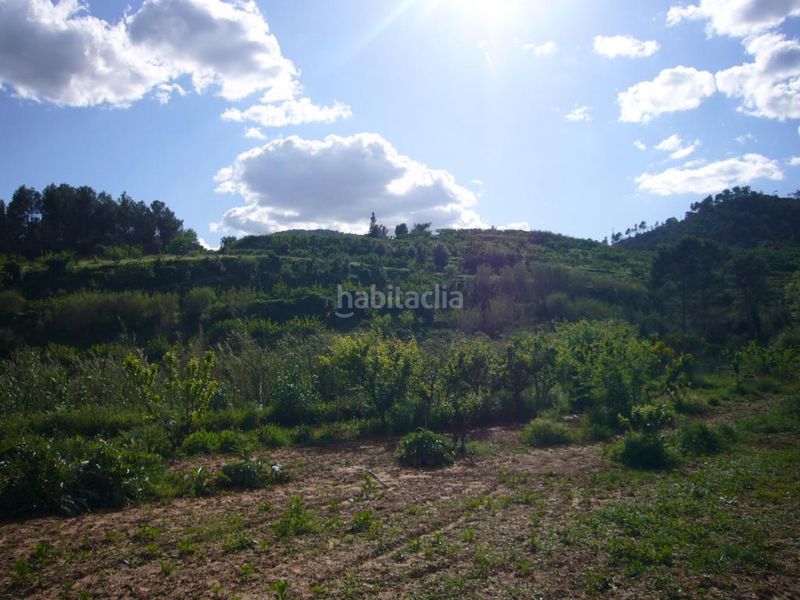 Foto fe3c905a-ade5-45ed-8a1f-2be4b0871047. Terreny residencial a Torrelles de Llobregat