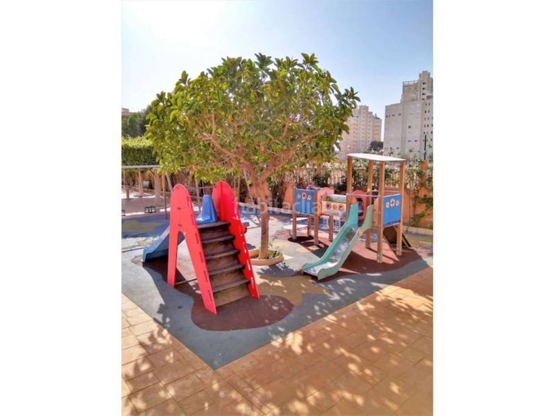 Foto 5868afd0-5771-4f27-b6dd-945d1c2e2fbe. Pis amb aparcament piscina a Playa Muchavista Campello (el)