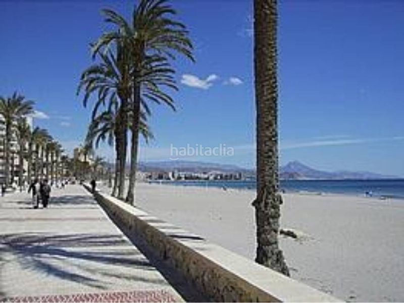 Foto 87231f55-1e8d-47d5-bbf6-cc674118514d. Pis amb aparcament piscina a Playa Muchavista Campello (el)