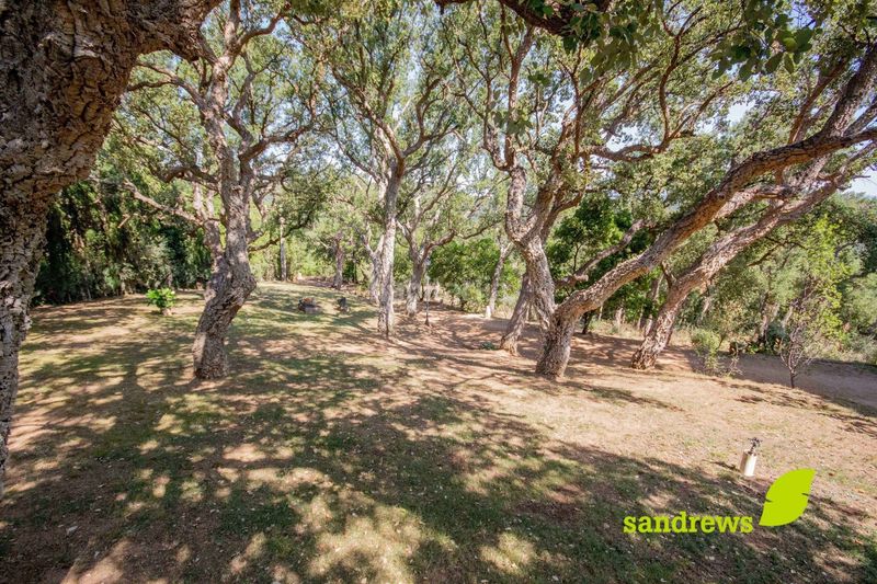 Foto 3b70df0b-0355-4b9a-9cf1-0ae8c0d9fe2f. Casa amb calefacció a Darnius