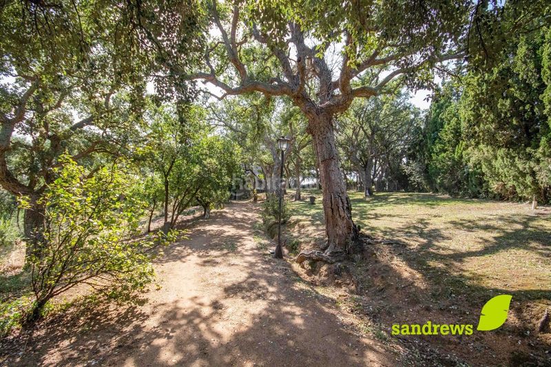 Foto 56df6165-9fa1-4fe9-8345-26c737a48c1b. Casa amb calefacció a Darnius