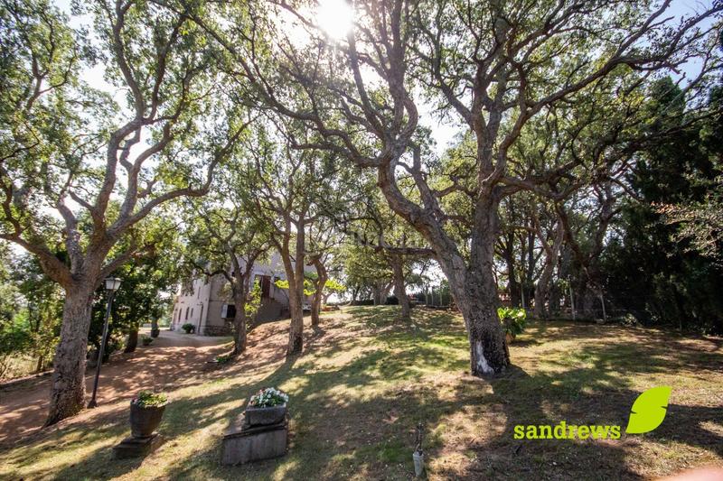 Foto ad72c2d9-c49a-40ed-bc4f-854abd26325a. Maison avec chauffage dans Darnius