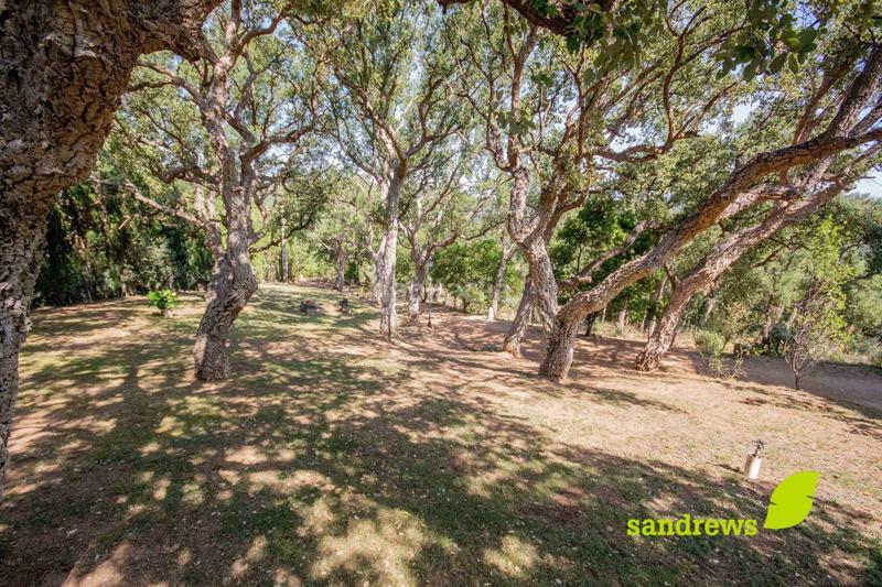 Foto b9cf51d7-2dc9-4b33-9362-2531eb3c8f77. Maison avec chauffage dans Darnius