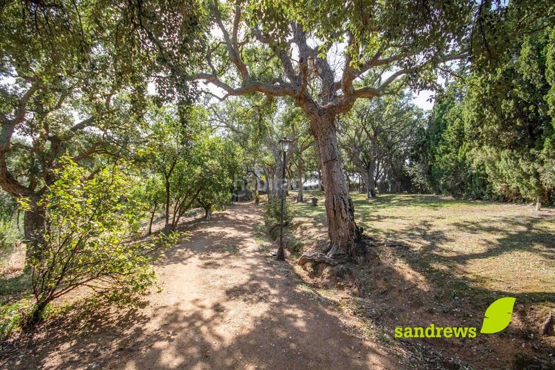 Foto bcd53261-cd96-46a0-9d91-a8b43f75201d. Maison avec chauffage dans Darnius