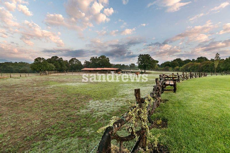 Foto 93c5ac17-515c-4b7d-9c60-45fcd565eef7. Masia amb calefacció piscina a Cassà de la Selva