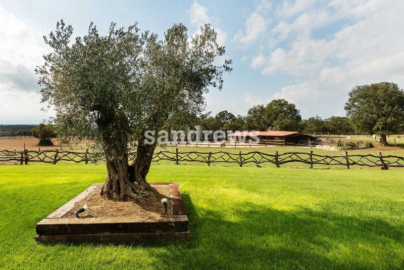 Foto e3ebae8c-8d12-4b15-9654-0c2c985a024a. Masia amb calefacció piscina a Cassà de la Selva