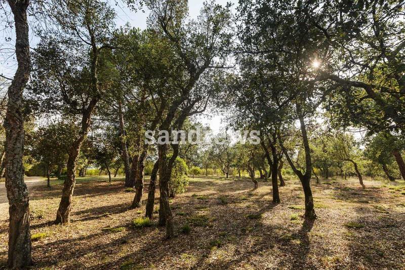 Foto eb37073e-4ae9-40fb-8fd5-19a2ce33ed00. Masia amb calefacció piscina a Cassà de la Selva