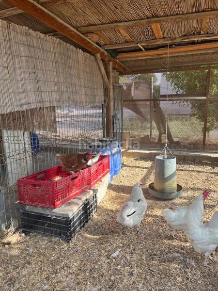 Foto 2ae51e89-2e59-4230-9e06-6b22b37f6d0b. Chalet campo de fortuna 616652603 en El Esparragal Murcia