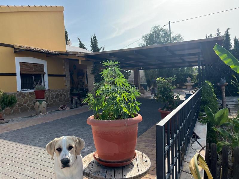 Foto 494831ef-2d1f-4ddc-a554-a846a6a4880c. Chalet campo de fortuna 616652603 en El Esparragal Murcia