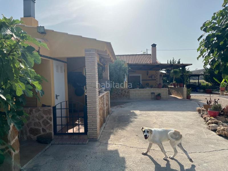 Foto a2c589d6-1a49-4d9b-806a-760c99439dc7. Chalet campo de fortuna 616652603 en El Esparragal Murcia