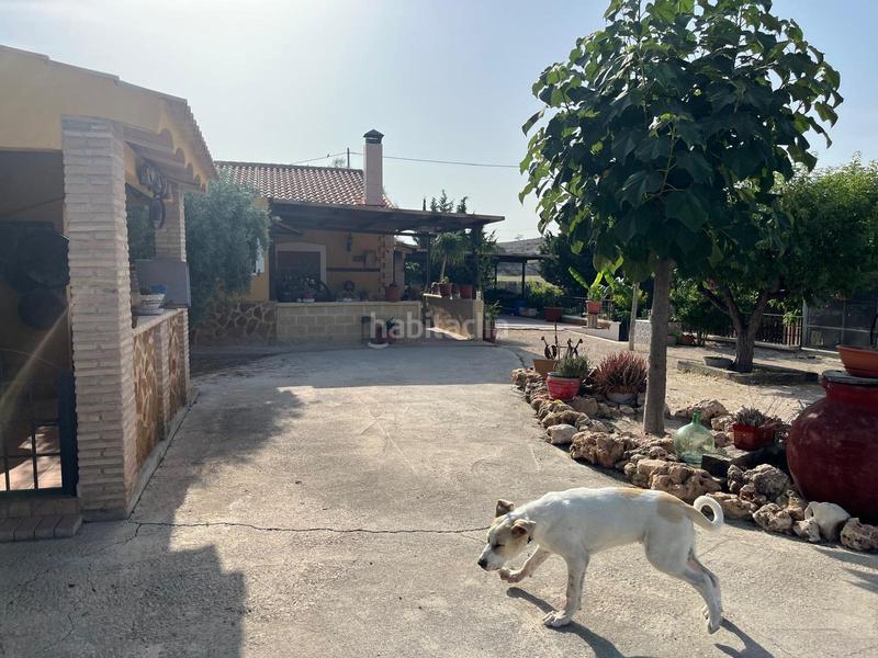 Foto cd23355e-d7d3-4957-b643-71e0e62a9852. Chalet campo de fortuna 616652603 en El Esparragal Murcia