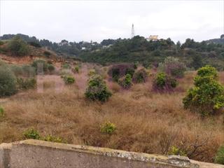 Terreno residencial en Monte Real. Buscas un terreno para explotacin agrcola, ganadera o instalac