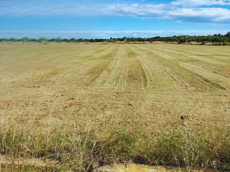 Foto e184760a-af92-4953-88d8-747b5a52b8e6. Landgut in Monte Real Torrent