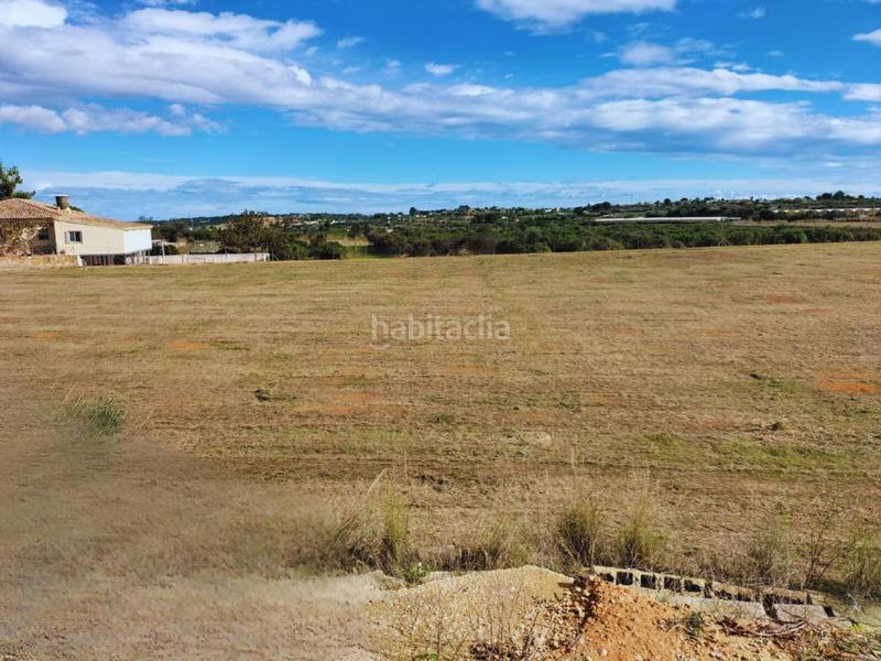 Foto f4f03e9a-6eae-4f6e-986f-4618ba8e6196. Landgut in Monte Real Torrent