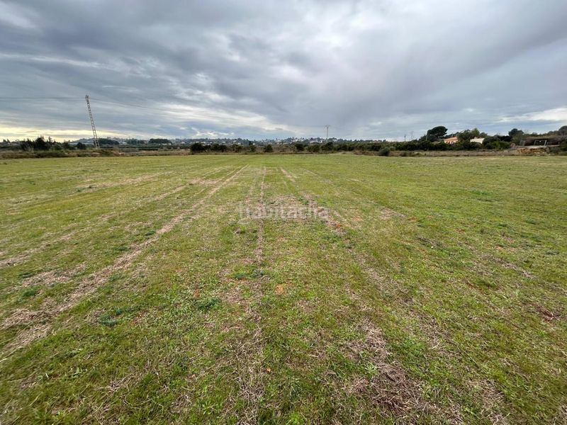 Foto 08d5f587-4a4e-4020-a8fc-50a5d0145cd9. Finca rústica a Monte Real Torrent