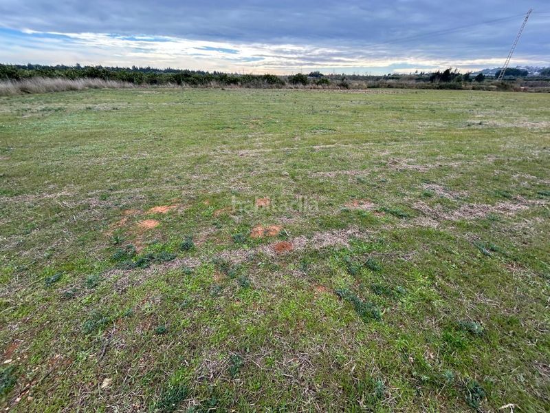 Foto 4efdb9b2-a92f-4170-a4b2-95260a40011f. Finca rústica a Monte Real Torrent