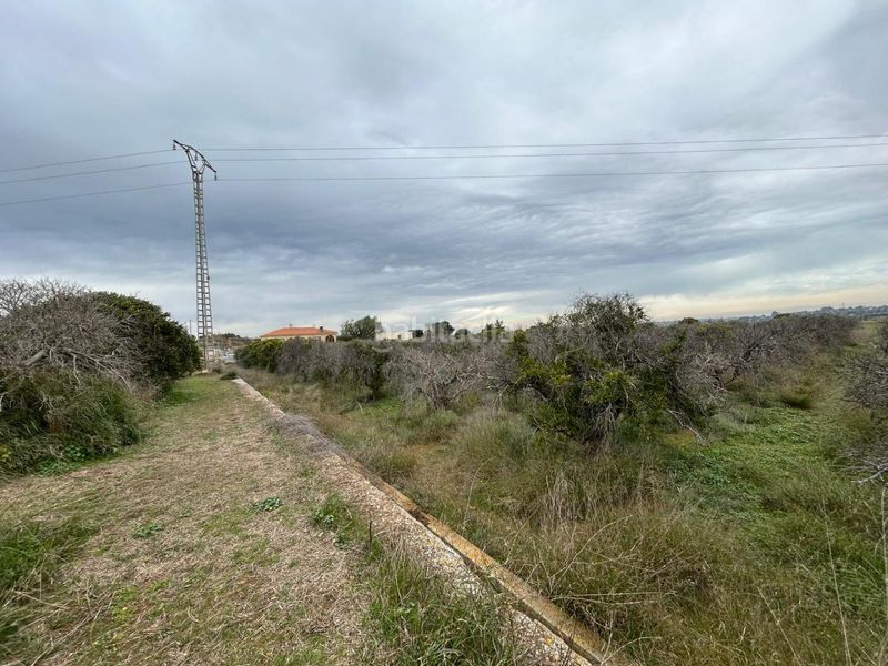 Foto 502659fd-42b6-4790-9dee-09fd4dd1dad8. Finca rústica a Monte Real Torrent