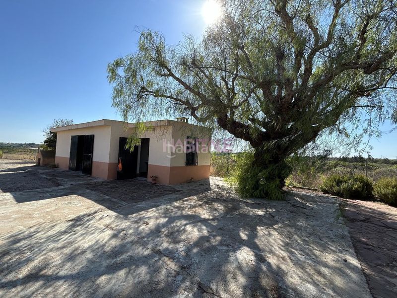 Foto 6abe4ded-9874-4201-8c03-5a22c86d2e88. Finca rústica a Monte Real Torrent