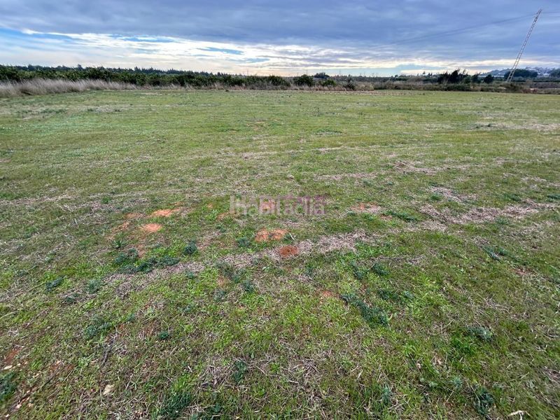 Foto a7681f42-aa46-4f17-b224-bc5bf0340960. Finca rústica a Monte Real Torrent