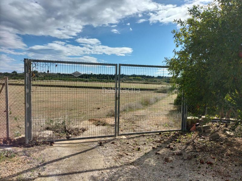 Foto ced0b91d-79e1-4204-8344-dcbaa81d3393. Finca rústica a Monte Real Torrent