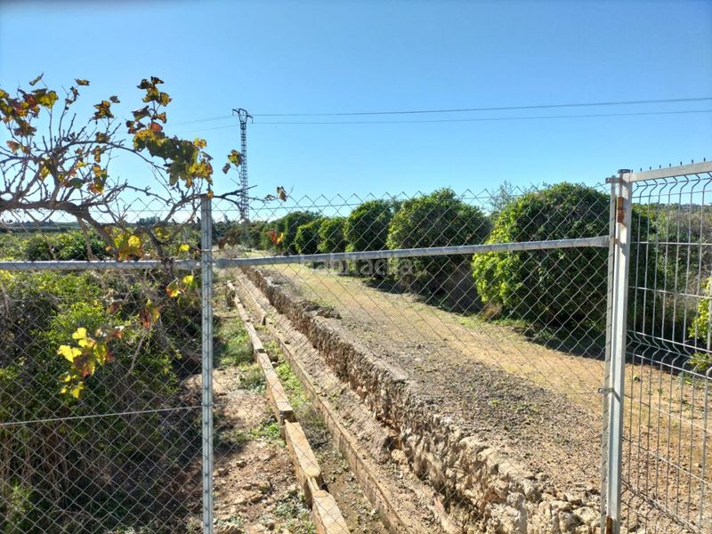 Foto d81702ac-984e-4083-a874-4bd68c23b191. Finca rústica a Monte Real Torrent