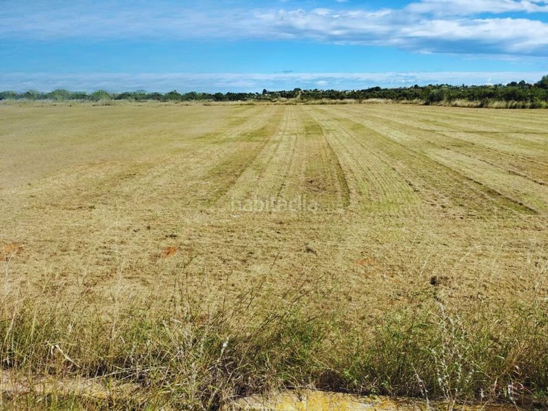 Foto e184760a-af92-4953-88d8-747b5a52b8e6. Finca rústica a Monte Real Torrent