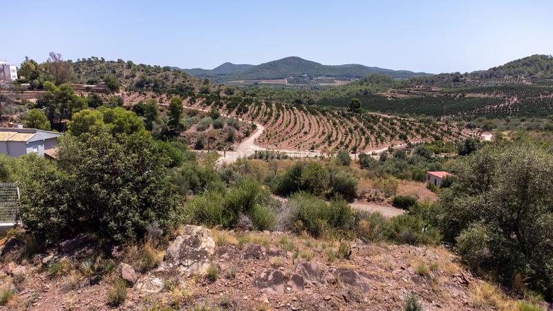 Foto becf92f0-379a-438f-aebd-e3471bff7315. Terrain résidentiel dans Torres Torres