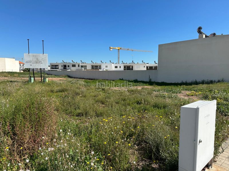 Foto 7f07e8c2-3c0d-4c54-a953-f9e895c36a45. Finca rústica a Doctor Palos - Alto Palancia Sagunt