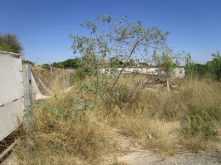 Terreny residencial  Calle encina