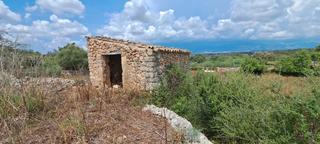 Residential Plot in Costitx. Finca con caseta de aperos