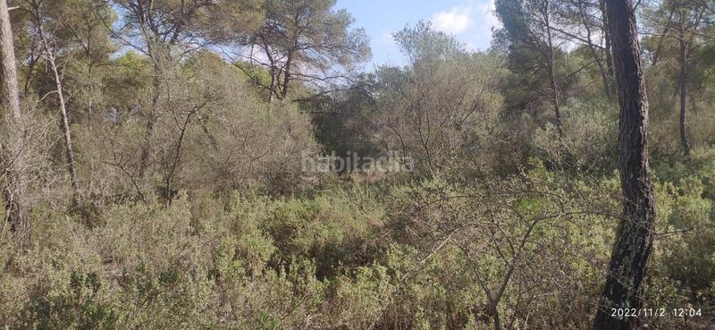 Foto 108be8fd-f285-400e-ad0a-22bf57f8933e. Wohngrundstück in Algaida