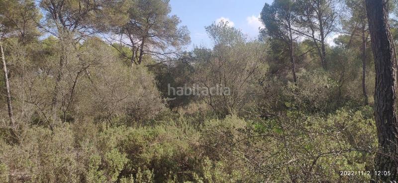 Foto 14d1f61a-7e39-4ad2-a22c-1b6cc6f44514. Wohngrundstück in Algaida