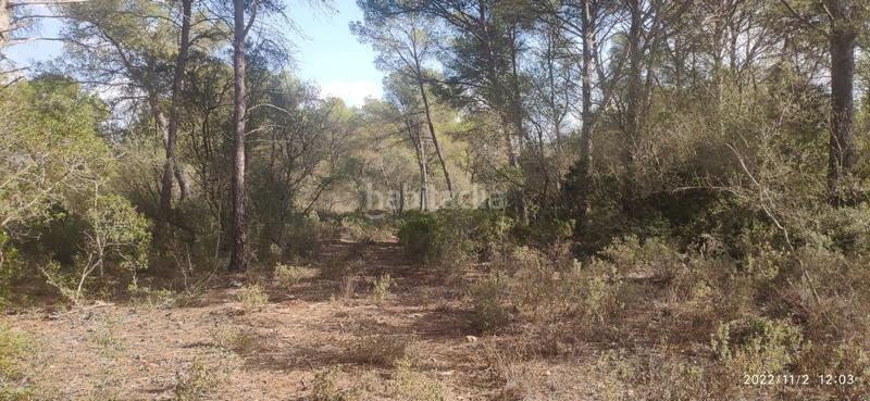 Foto 6b8eba10-b4e9-4c52-b57f-6d7c790311ff. Wohngrundstück in Algaida