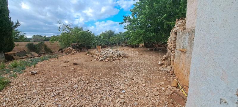 Foto a3868393-e452-4b91-8d20-df7696add5f1. Casa dos fincas juntas edificables en Porreres