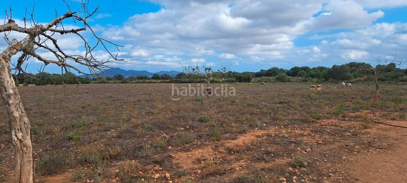 Foto b4fafc43-03cc-47bd-b4cf-3a9cf530af5b. Casa dos fincas juntas edificables en Porreres
