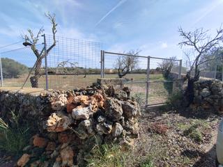 Wohngrundstück in Santa Margalida Poble