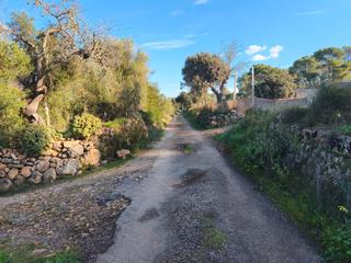 Finca rústica a Algaida. Finca de garriga