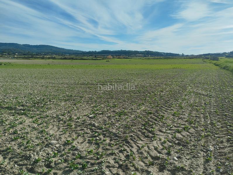 Foto 301bf74a-c527-4094-a971-43794b1d78c2. Wohngrundstück in Sant Joan