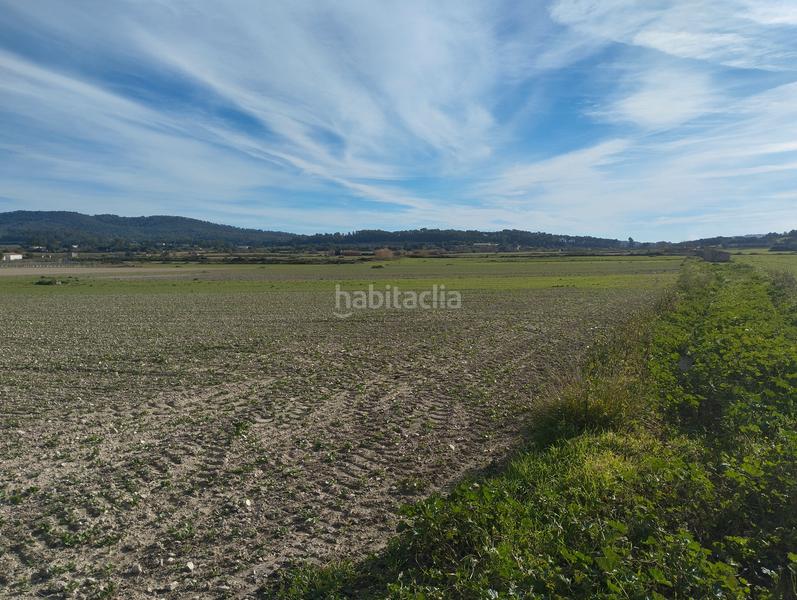 Foto 3ff7effa-d617-466a-bdbe-1a5fd830fb38. Wohngrundstück in Sant Joan