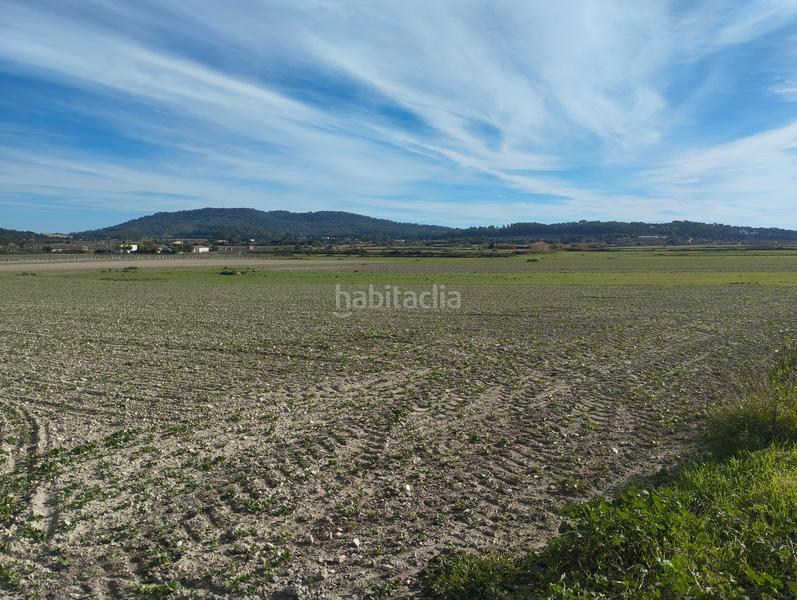 Foto 4935f11a-796b-4538-bd06-591a4a250521. Wohngrundstück in Sant Joan