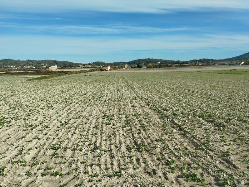 Foto 574e11c5-e166-42a8-9b16-28ad4e61ba4a. Wohngrundstück in Sant Joan