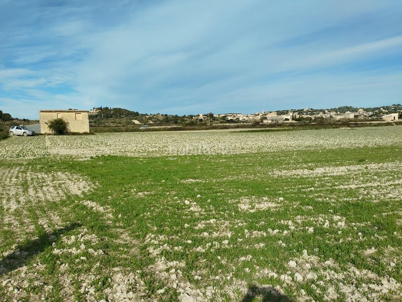 Foto 91dc7a26-3baa-4c25-afac-3bcf94cbc4b0. Wohngrundstück in Sant Joan