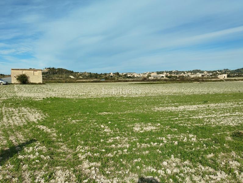 Foto a32c069d-eca5-413a-a16f-39030933abdf. Wohngrundstück in Sant Joan