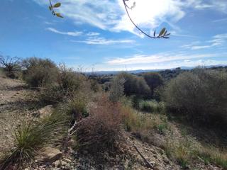 Rural plot in Sant Llorenç des Cardassar. Finca situada en un puig no edificable