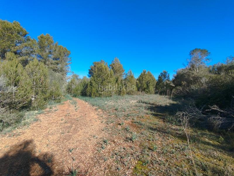 Foto 110e867a-01bc-4fdb-92cd-88d99490eb23. Terreny residencial a Algaida