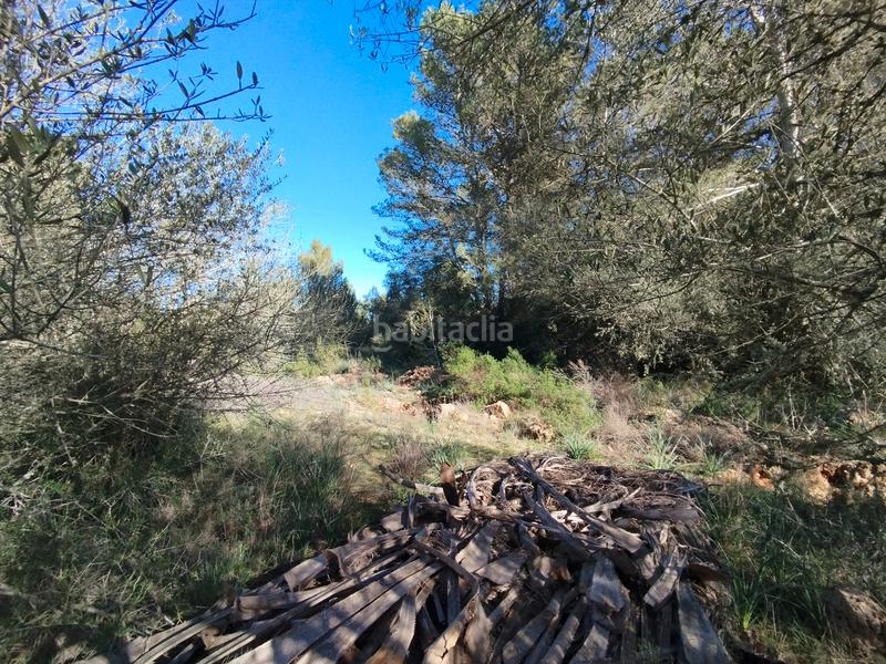 Foto 2dd025ad-88af-4c10-b9ff-e07caec45526. Terreny residencial a Algaida