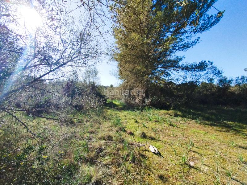 Foto 797d09b0-be4b-43d1-8998-21b66e763226. Terreny residencial a Algaida