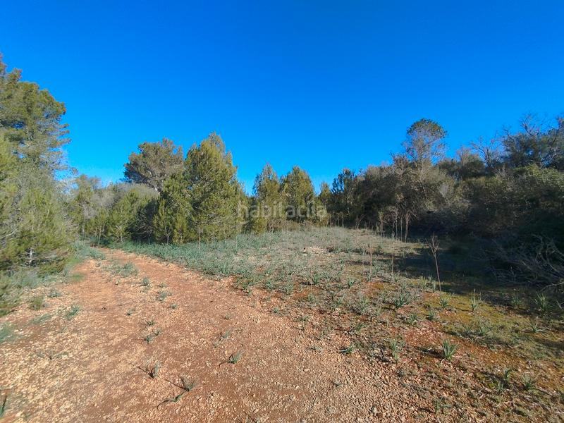Foto a8ad4958-88ba-4243-a2c5-3034dbf39225. Terreny residencial a Algaida