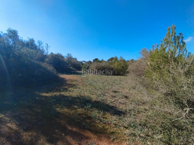 Foto df13d1eb-47f8-45e2-a9f7-59ebe8280f62. Terreny residencial a Algaida